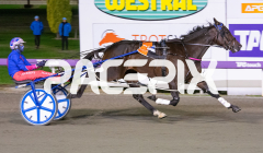 Heres-Herbie_01-05-2026_WIN_Gloucester-Park_2__02