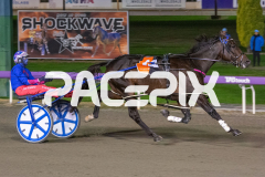 Heres-Herbie_01-05-2026_WIN_Gloucester-Park_2__03