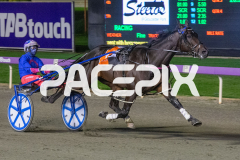 Heres-Herbie_01-05-2026_WIN_Gloucester-Park_2__05