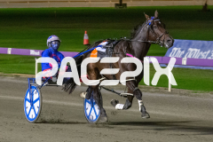 Heres-Herbie_01-05-2026_WIN_Gloucester-Park_2__06