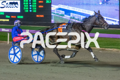 Heres-Herbie_01-05-2026_WIN_Gloucester-Park_2__10