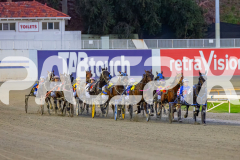 2026_PACEPIX_GP18042026_RACE2_HeresHerbie_WIN_WEB-1