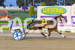 2026_PACEPIX_GP18042026_RACE2_HeresHerbie_WIN_WEB-11