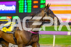 2026_PACEPIX_GP18042026_RACE2_HeresHerbie_WIN_WEB-14