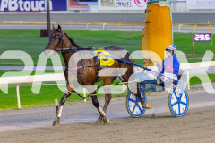 2026_PACEPIX_GP18042026_RACE2_HeresHerbie_WIN_WEB-17