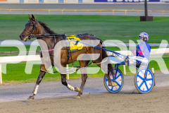 2026_PACEPIX_GP18042026_RACE2_HeresHerbie_WIN_WEB-18