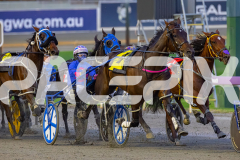 2026_PACEPIX_GP18042026_RACE2_HeresHerbie_WIN_WEB-3