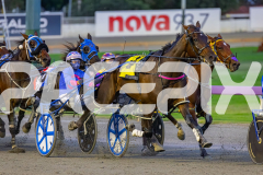 2026_PACEPIX_GP18042026_RACE2_HeresHerbie_WIN_WEB-4