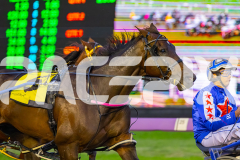 2026_PACEPIX_GP18042026_RACE2_HeresHerbie_WIN_WEB-5