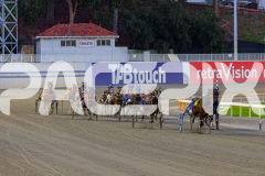 2026_PACEPIX_GP18042026_RACE2_HeresHerbie_WIN_WEB-6