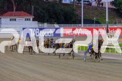 2026_PACEPIX_GP18042026_RACE2_HeresHerbie_WIN_WEB-7
