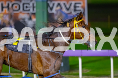 2026_PACEPIX_GP03072026_Race2_HighPrice_WIN_WEB-12