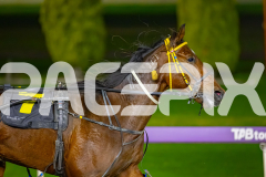 2026_PACEPIX_GP03072026_Race2_HighPrice_WIN_WEB-13