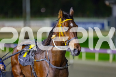 2026_PACEPIX_GP03072026_Race2_HighPrice_WIN_WEB-18