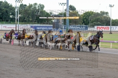 Highview-Rozi_29-09-2026_WIN_Gloucester-Park__2_02