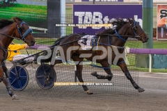 Highview-Rozi_29-09-2026_WIN_Gloucester-Park__2_08