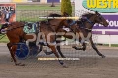Highview-Rozi_29-09-2026_WIN_Gloucester-Park__2_10