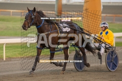 Highview-Rozi_29-09-2026_WIN_Gloucester-Park__2_12