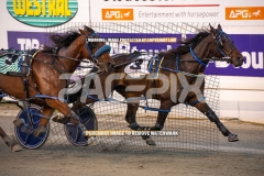 Highview-Rozi_29-09-2026_WIN_Gloucester-Park__2_14