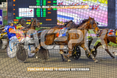 2026_PACEPIX_GP28082026_Race2_HoldTheAmmo_WIN_WEB-10