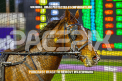 2026_PACEPIX_GP28082026_Race2_HoldTheAmmo_WIN_WEB-14
