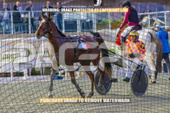 2026_PACEPIX_GP28082026_Race2_HoldTheAmmo_WIN_WEB-18