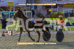 2026_PACEPIX_GP28082026_Race2_HoldTheAmmo_WIN_WEB-19