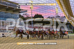 2026_PACEPIX_GP28082026_Race2_HoldTheAmmo_WIN_WEB-5