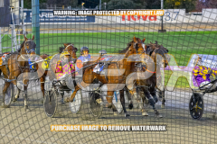 2026_PACEPIX_GP28082026_Race2_HoldTheAmmo_WIN_WEB-8