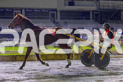 RACE 2 - Hootfoot It