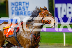2026_PACEPIX_GP17072026_RACE2_HotfootIt_WIN_WEB-16