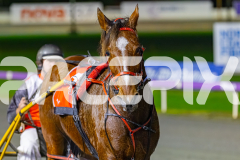 2026_PACEPIX_GP17072026_RACE2_HotfootIt_WIN_WEB-21