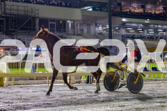 2026_PACEPIX_GP17072026_RACE2_HotfootIt_WIN_WEB-23