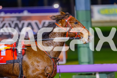2026_PACEPIX_GP17072026_RACE2_HotfootIt_WIN_WEB-6