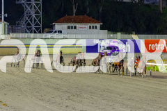 2026_PACEPIX_GP17072026_RACE2_HotfootIt_WIN_WEB-7