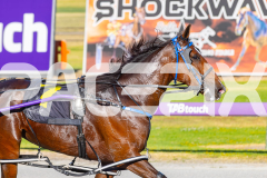 2025_PACEPIX_GP16122025_RACE2_HungerStrike_WIN_WEB-10