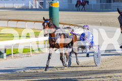 2025_PACEPIX_GP16122025_RACE2_HungerStrike_WIN_WEB-11
