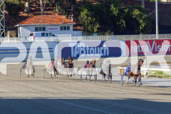 2025_PACEPIX_GP16122025_RACE2_HungerStrike_WIN_WEB-4