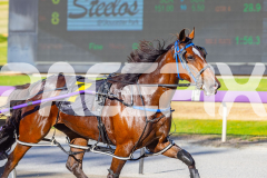 2025_PACEPIX_GP16122025_RACE2_HungerStrike_WIN_WEB-9