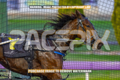2026_PACEPIX_GP25082026_RACE2_IgniteTheFurnace_WIN_WEB-12