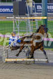 2026_PACEPIX_GP25082026_RACE2_IgniteTheFurnace_WIN_WEB-16