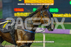 2026_PACEPIX_GP25082026_RACE2_IgniteTheFurnace_WIN_WEB-29