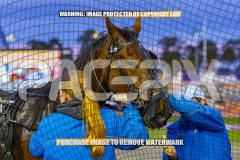 2026_PACEPIX_GP25082026_RACE2_IgniteTheFurnace_WIN_WEB-33