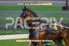 2026_PACEPIX_GP25082026_RACE2_IgniteTheFurnace_WIN_WEB-36