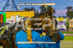 2026_PACEPIX_GP25082026_RACE2_IgniteTheFurnace_WIN_WEB-38