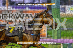 2026_PACEPIX_GP25082026_RACE2_IgniteTheFurnace_WIN_WEB-7