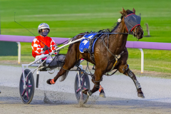 2025_PACEPIX_GP26082025_Race2_ImCategoryFive_WIN_WEB-10