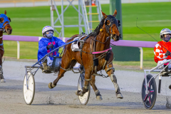 2025_PACEPIX_GP26082025_Race2_ImCategoryFive_WIN_WEB-11