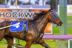 2025_PACEPIX_GP26082025_Race2_ImCategoryFive_WIN_WEB-5