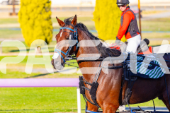 2026_PACEPIX_GP17032026_Race2_ImRockinRod_WIN_WEB-10
